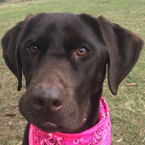 Meet your Posher, Mackenzie